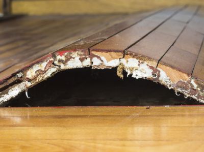 Bowed Hardwood Removal and Replacement